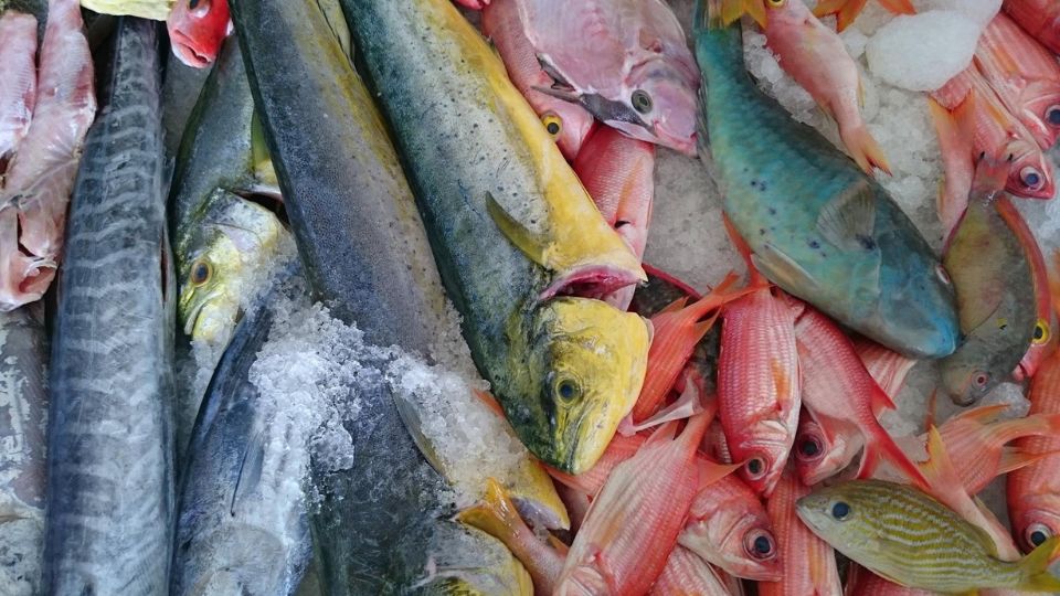 Marché au Poissons, Port de St-François